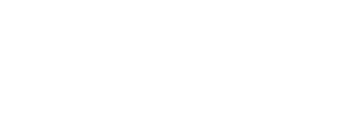 Veterans For Reform Logo